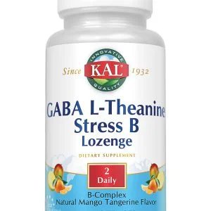 GABA L-Theanine Stress B Lozenge, 100ct, Mango Tangerine
