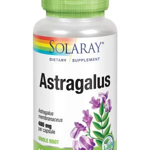 Astragalus